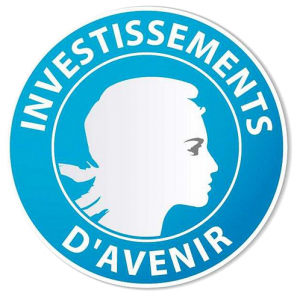 Zoom sur les Programmes d'investissements d'avenir (PIA)